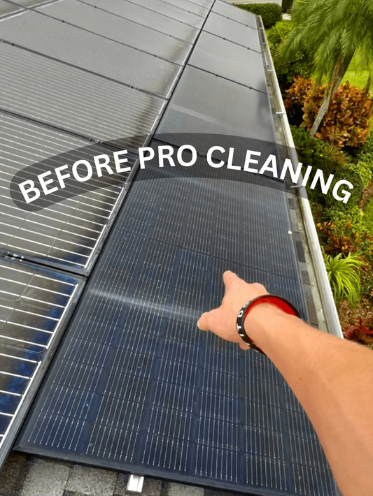 Solar Panel Cleaning